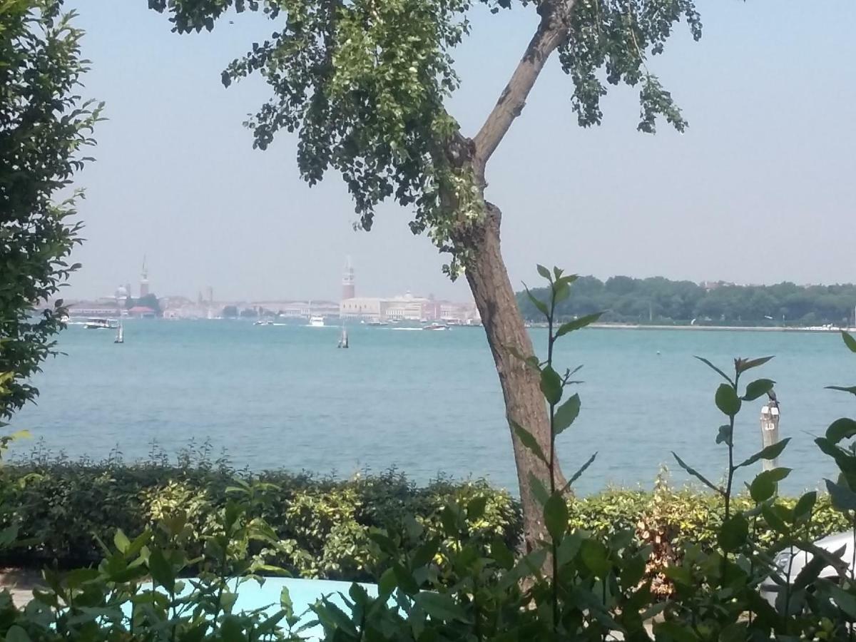 Bellavista Sanmarco Venice And Lagoon View Lido di Venezia Zewnętrze zdjęcie