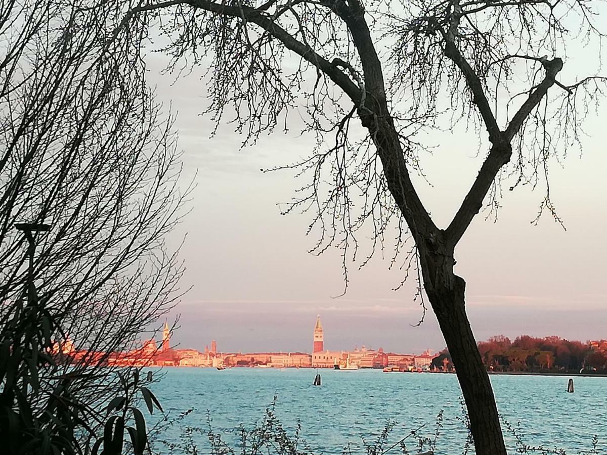 Bellavista Sanmarco Venice And Lagoon View Lido di Venezia Zewnętrze zdjęcie